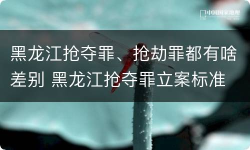 黑龙江抢夺罪、抢劫罪都有啥差别 黑龙江抢夺罪立案标准