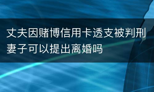 丈夫因赌博信用卡透支被判刑妻子可以提出离婚吗