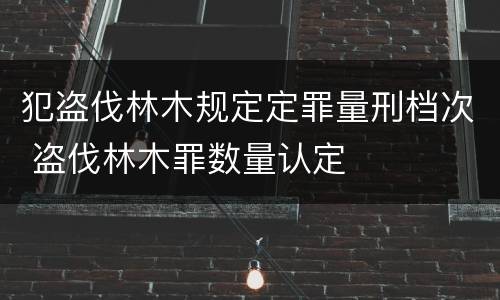 关于雇用逃离部队军人罪的立案标准怎样认定