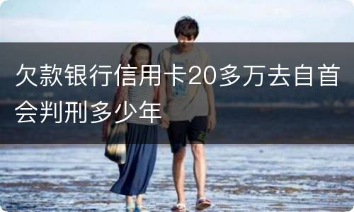 欠款银行信用卡20多万去自首会判刑多少年