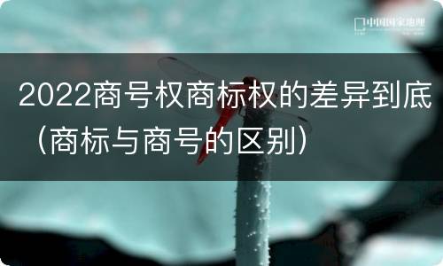 2022商号权商标权的差异到底（商标与商号的区别）