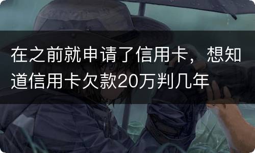 在之前就申请了信用卡，想知道信用卡欠款20万判几年