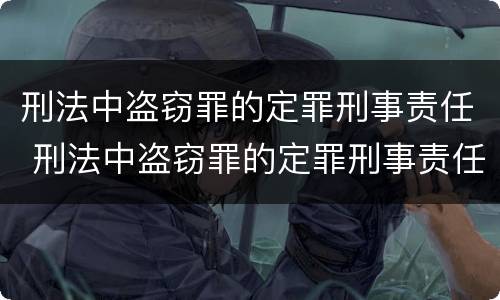 对于雇用逃离部队军人罪法律界定方面