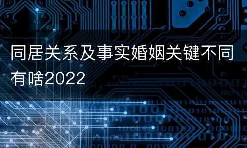 同居关系及事实婚姻关键不同有啥2022