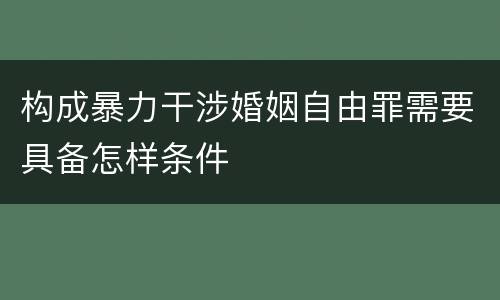 构成暴力干涉婚姻自由罪需要具备怎样条件