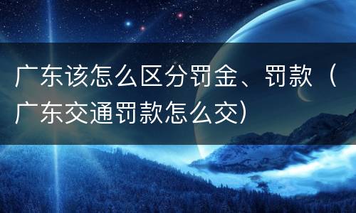 广东该怎么区分罚金、罚款（广东交通罚款怎么交）