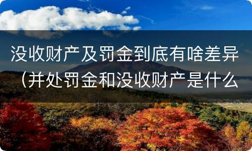 没收财产及罚金到底有啥差异（并处罚金和没收财产是什么意思）