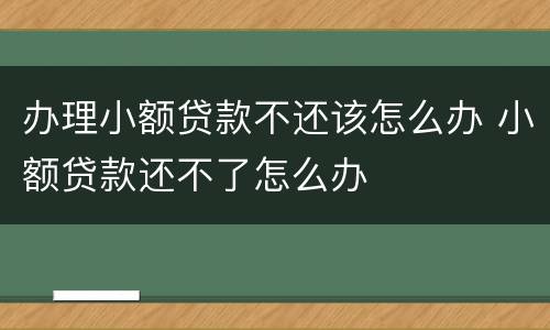 办理小额贷款不还该怎么办 小额贷款还不了怎么办