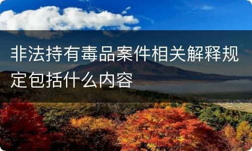 非法持有毒品案件相关解释规定包括什么内容