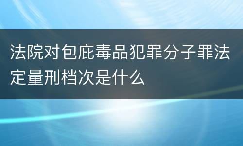 法院对包庇毒品犯罪分子罪法定量刑档次是什么