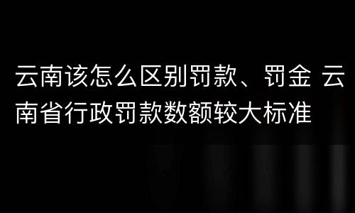 云南该怎么区别罚款、罚金 云南省行政罚款数额较大标准