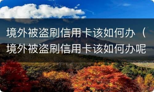 境外被盗刷信用卡该如何办（境外被盗刷信用卡该如何办呢）