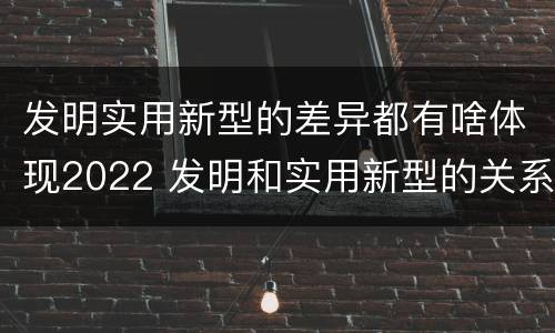 发明实用新型的差异都有啥体现2022 发明和实用新型的关系