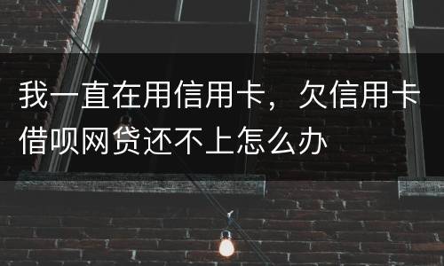 我一直在用信用卡，欠信用卡借呗网贷还不上怎么办