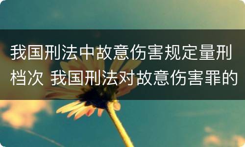 我国刑法中故意伤害规定量刑档次 我国刑法对故意伤害罪的处罚是如何规定的