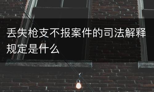 丢失枪支不报案件的司法解释规定是什么