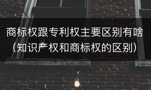 商标权跟专利权主要区别有啥（知识产权和商标权的区别）