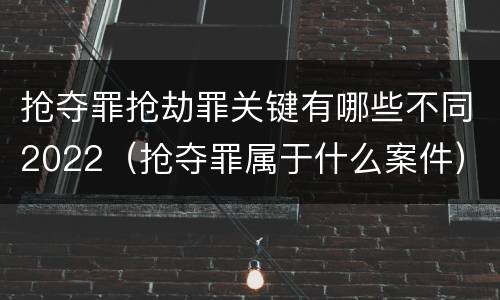 抢夺罪抢劫罪关键有哪些不同2022（抢夺罪属于什么案件）