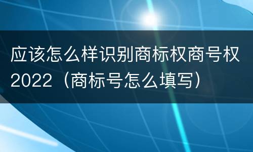 应该怎么样识别商标权商号权2022（商标号怎么填写）