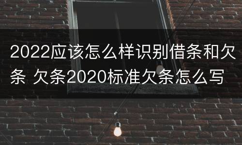 2022应该怎么样识别借条和欠条 欠条2020标准欠条怎么写