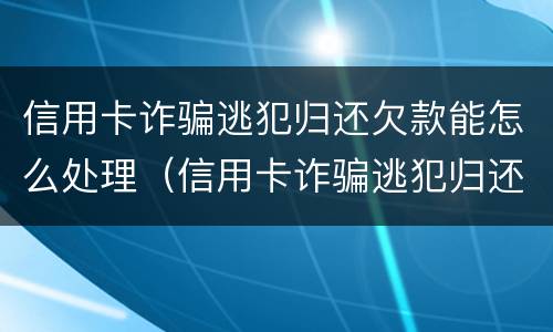 信用卡诈骗逃犯归还欠款能怎么处理（信用卡诈骗逃犯归还欠款能怎么处理吗）