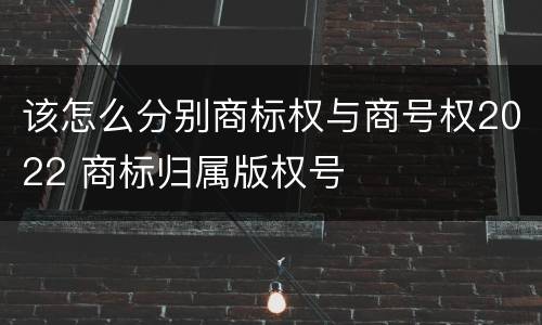 该怎么分别商标权与商号权2022 商标归属版权号