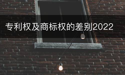 专利权及商标权的差别2022