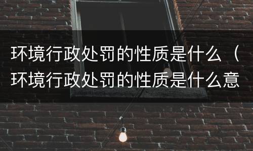 环境行政处罚的性质是什么（环境行政处罚的性质是什么意思）