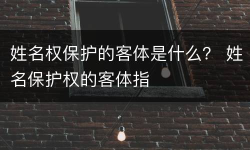 姓名权保护的客体是什么？ 姓名保护权的客体指