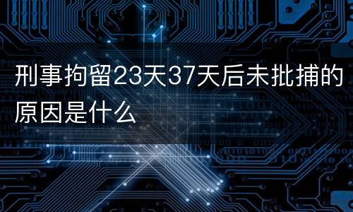 刑事拘留23天37天后未批捕的原因是什么