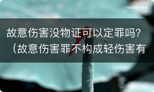 故意伤害没物证可以定罪吗？（故意伤害罪不构成轻伤害有证据）