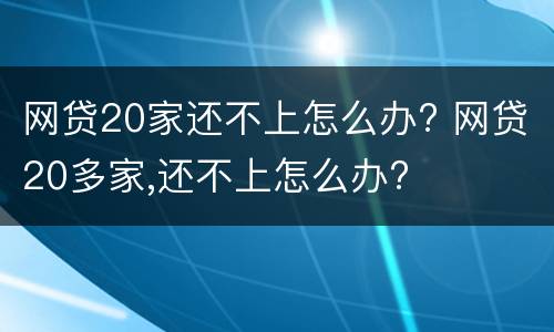 网贷20家还不上怎么办? 网贷20多家,还不上怎么办?