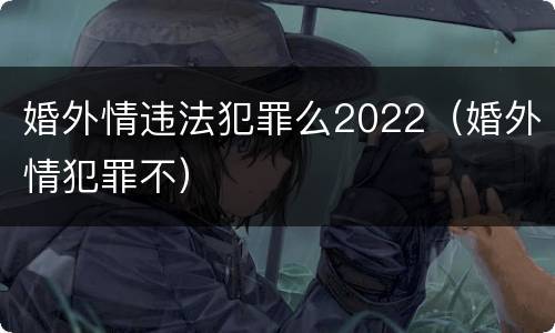 婚外情违法犯罪么2022（婚外情犯罪不）