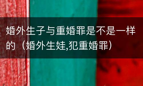 婚外生子与重婚罪是不是一样的（婚外生娃,犯重婚罪）