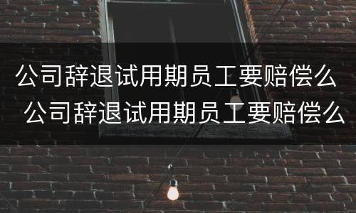 公司辞退试用期员工要赔偿么 公司辞退试用期员工要赔偿么嘛