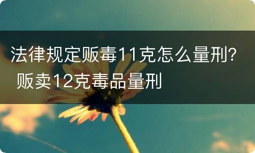 法律规定贩毒11克怎么量刑？ 贩卖12克毒品量刑