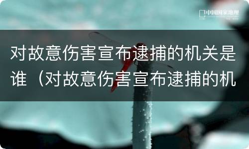 对故意伤害宣布逮捕的机关是谁（对故意伤害宣布逮捕的机关是谁啊）