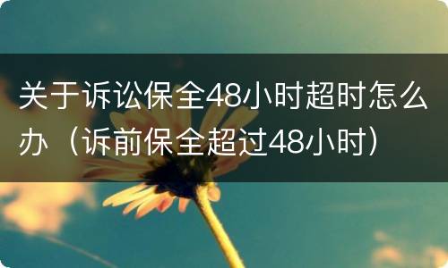 关于诉讼保全48小时超时怎么办（诉前保全超过48小时）