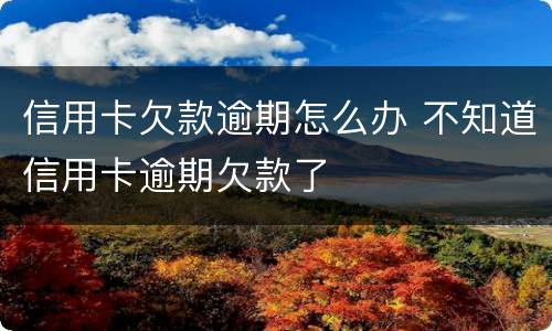 信用卡欠款逾期怎么办 不知道信用卡逾期欠款了