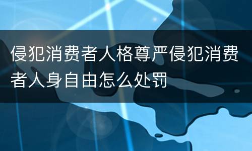 侵犯消费者人格尊严侵犯消费者人身自由怎么处罚