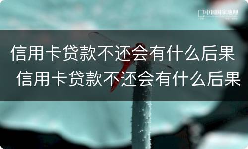 信用卡贷款不还会有什么后果 信用卡贷款不还会有什么后果嘛