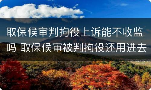 取保候审判拘役上诉能不收监吗 取保候审被判拘役还用进去吗