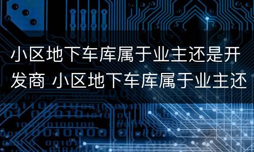 小区地下车库属于业主还是开发商 小区地下车库属于业主还是开发商民法典