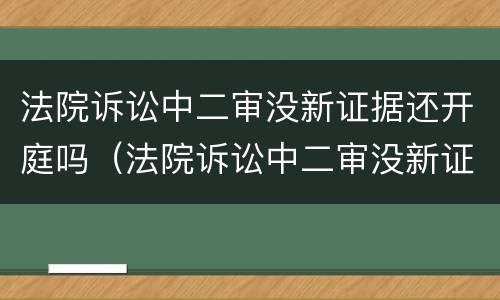 法院诉讼中二审没新证据还开庭吗（法院诉讼中二审没新证据还开庭吗怎么办）