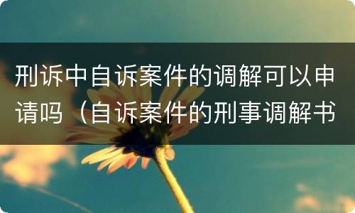 刑诉中自诉案件的调解可以申请吗（自诉案件的刑事调解书可以上诉吗）