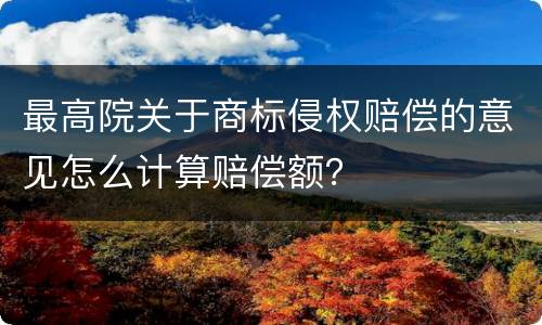 最高院关于商标侵权赔偿的意见怎么计算赔偿额？