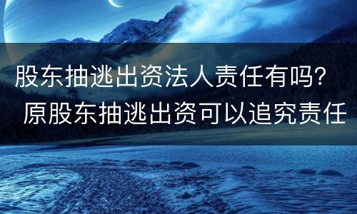 股东抽逃出资法人责任有吗？ 原股东抽逃出资可以追究责任吗