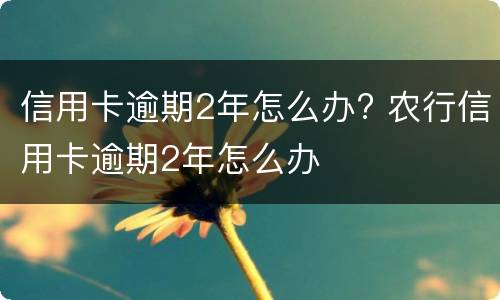 信用卡逾期2年怎么办? 农行信用卡逾期2年怎么办