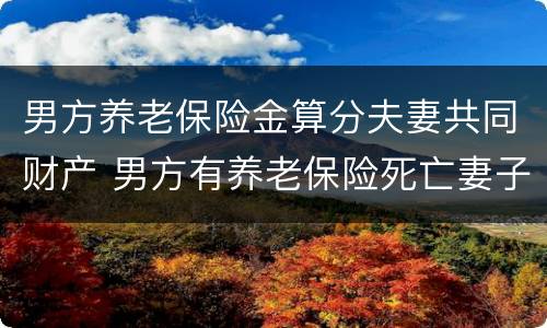 男方养老保险金算分夫妻共同财产 男方有养老保险死亡妻子能继承吗