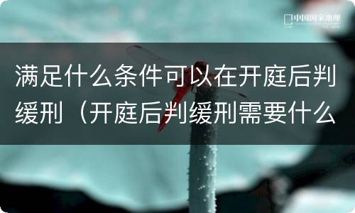 满足什么条件可以在开庭后判缓刑（开庭后判缓刑需要什么手续）